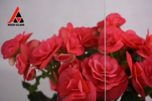 Σαφή λειασμένη ηλιακή