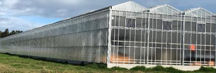 3.2mm/4mm patterned glass